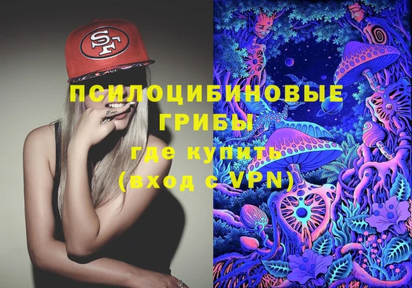 ALPHA-PVP Медногорск
